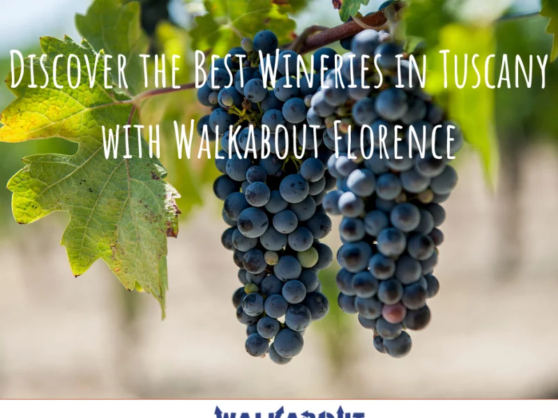 Discover the Best Wineries of 2022 in Tuscany with Walkabout Florence
