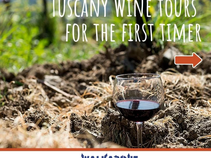 Tuscany Wine Tours for the First Timer