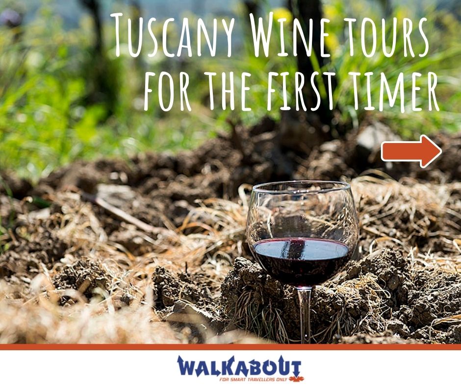 Tuscany Wine Tours for the First Timer