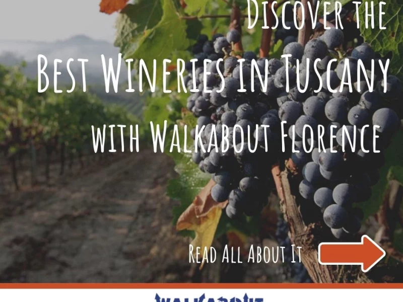 Discover the Best Wineries of 2022 in Tuscany with Walkabout Florence