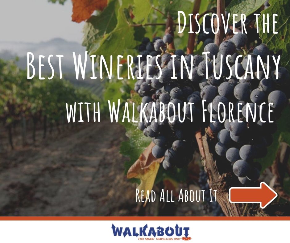Discover the Best Wineries of 2022 in Tuscany with Walkabout Florence
