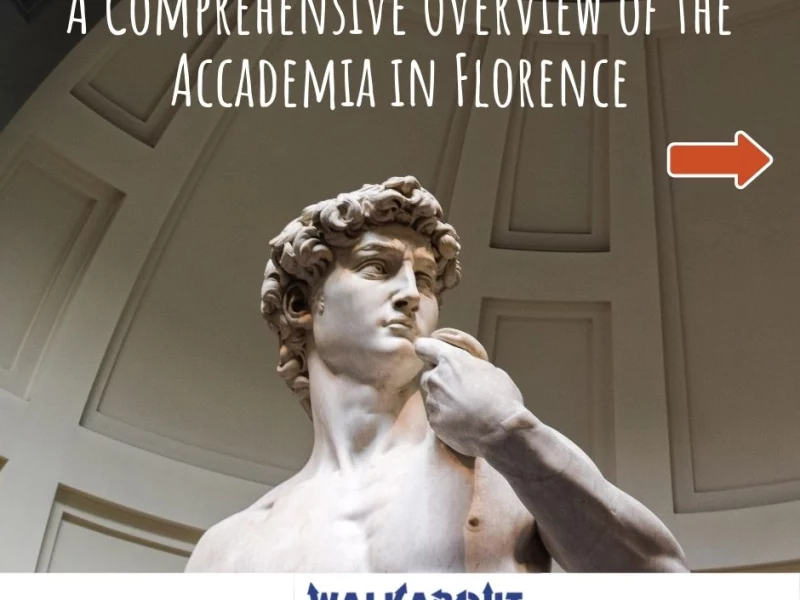 A Comprehensive Overview of the Accademia in Florence