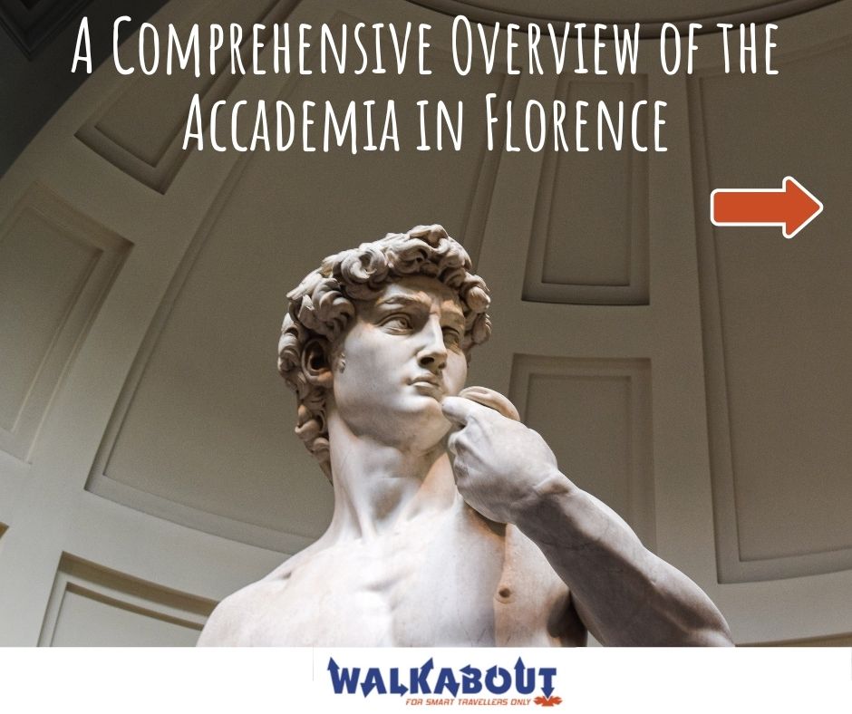 A Comprehensive Overview of the Accademia in Florence