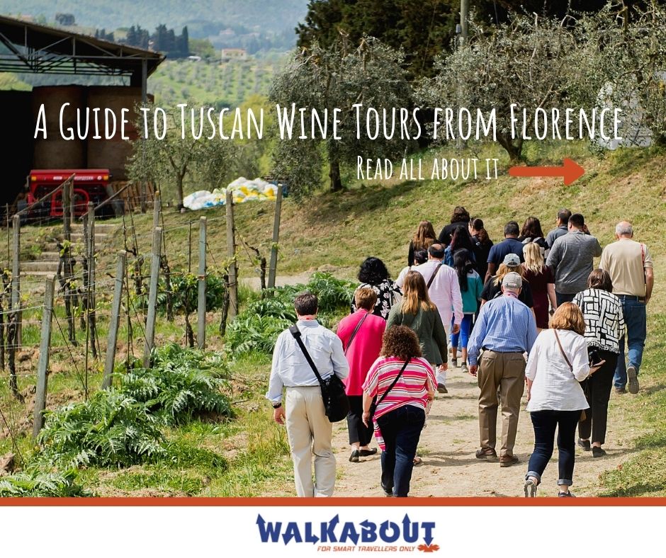 A Guide to Tuscan Wine Tours from Florence