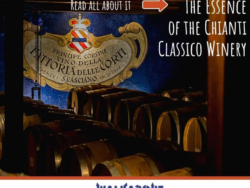 The Essence of the Chianti Classico Winery