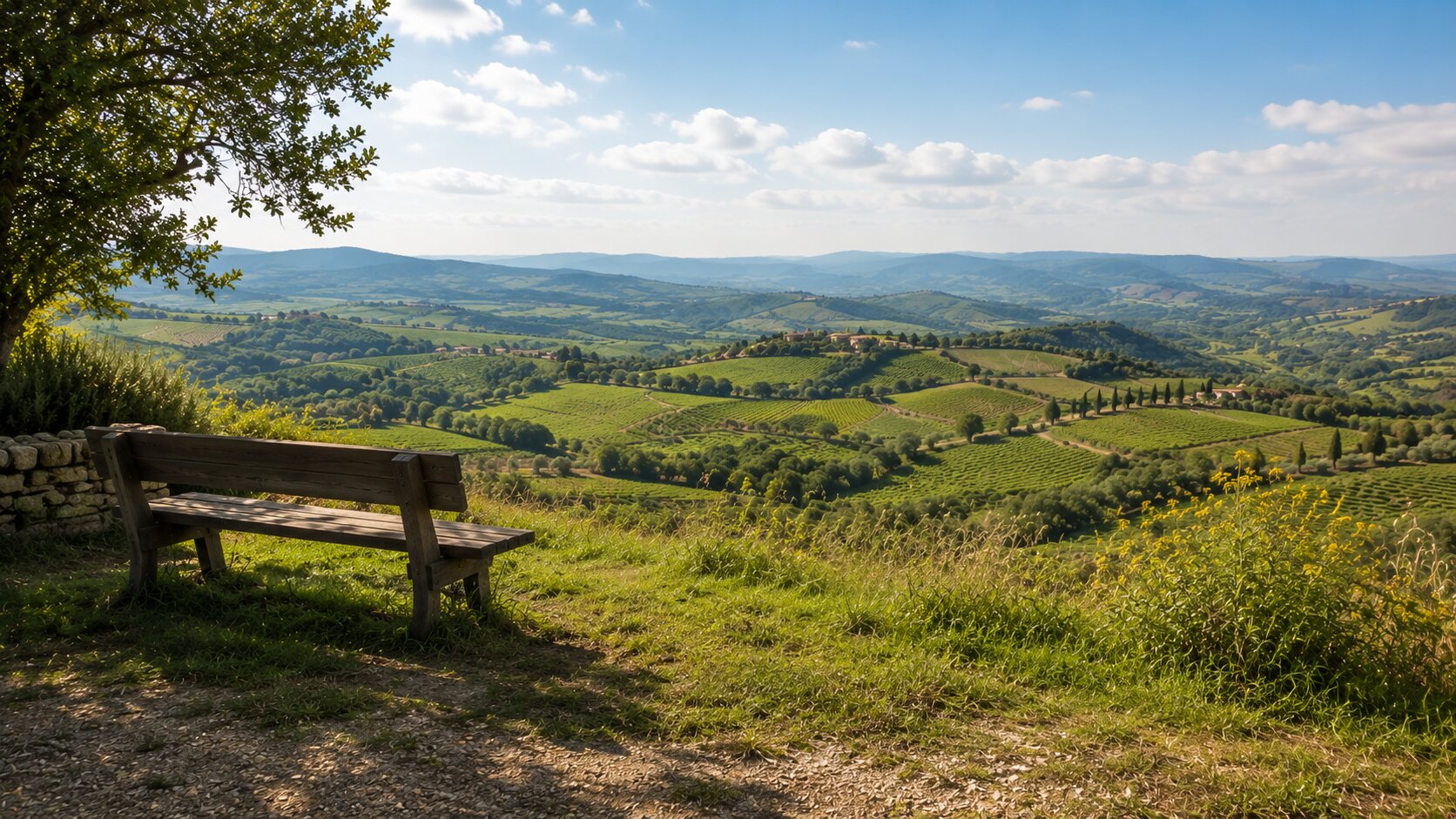 Hidden viewpoint overlooking the Chianti countryside