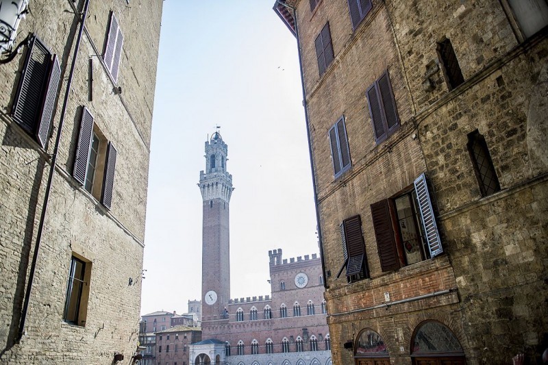 The Best of Tuscany Day Trip from Florence: Siena, San Gimignano, Pisa and Lunch at a Winery 4