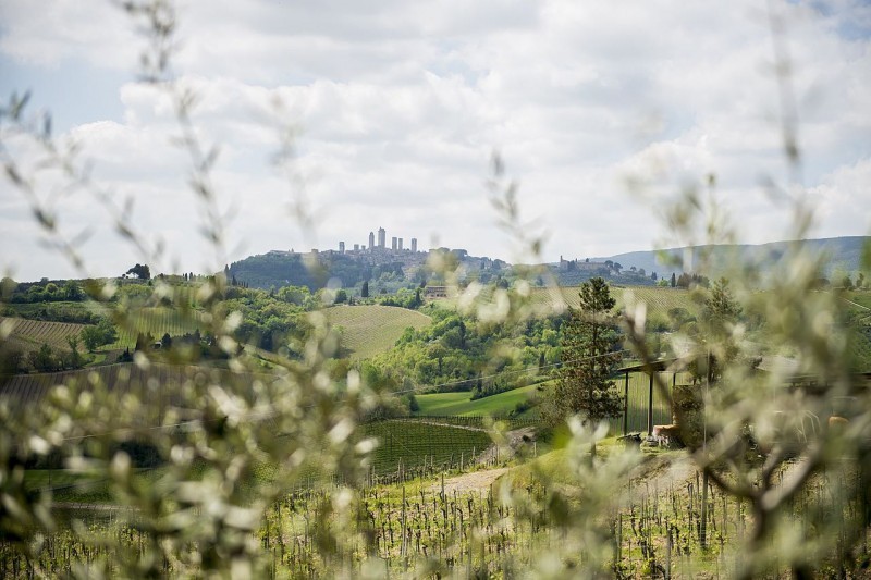 The Best of Tuscany Day Trip from Florence: Siena, San Gimignano, Pisa and Lunch at a Winery 7