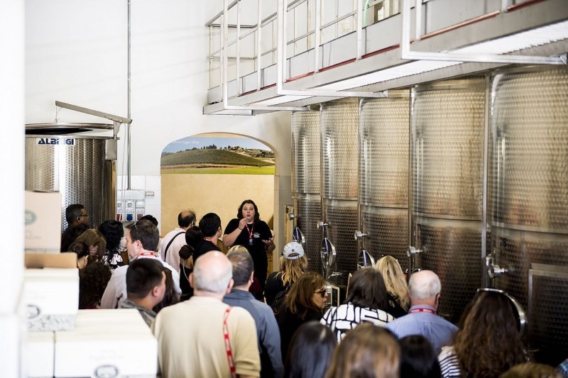 The Best of Tuscany Day Trip from Florence: Siena, San Gimignano, Pisa and Lunch at a Winery 8