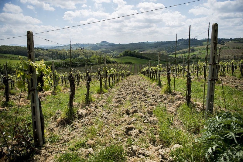 The Best of Tuscany Day Trip from Florence: Siena, San Gimignano, Pisa and Lunch at a Winery 9