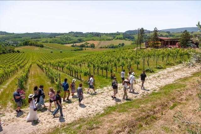 The Best of Tuscany in One Day Trip from Florence - Pisa, Siena, San Gimignano plus lunch and wine tasting at a Chianti winery