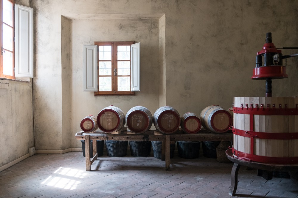 Private Tuscany Wine Tour: Off Road Chianti Wine Safari with Lunch from Florence 16