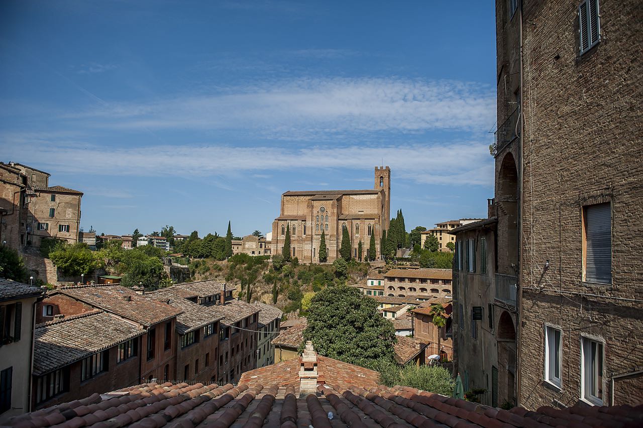 Private Tuscany Tour in One Day to Pisa, Siena and San Gimignano with Winery Lunch from Florence 4