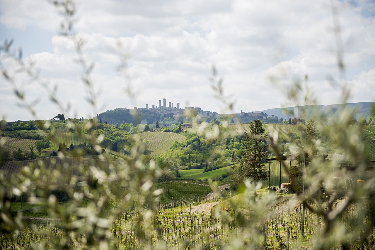 Private Tuscany Tour in One Day to Pisa, Siena and San Gimignano with Winery Lunch from Florence 6