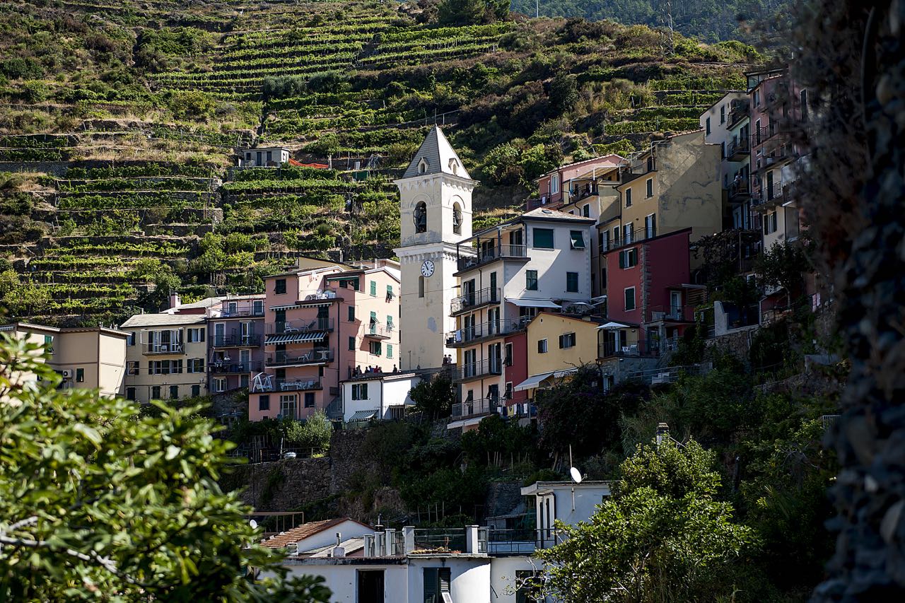 Cinque Terre Private Tour from Florence with Lunch and Optional Hike 1