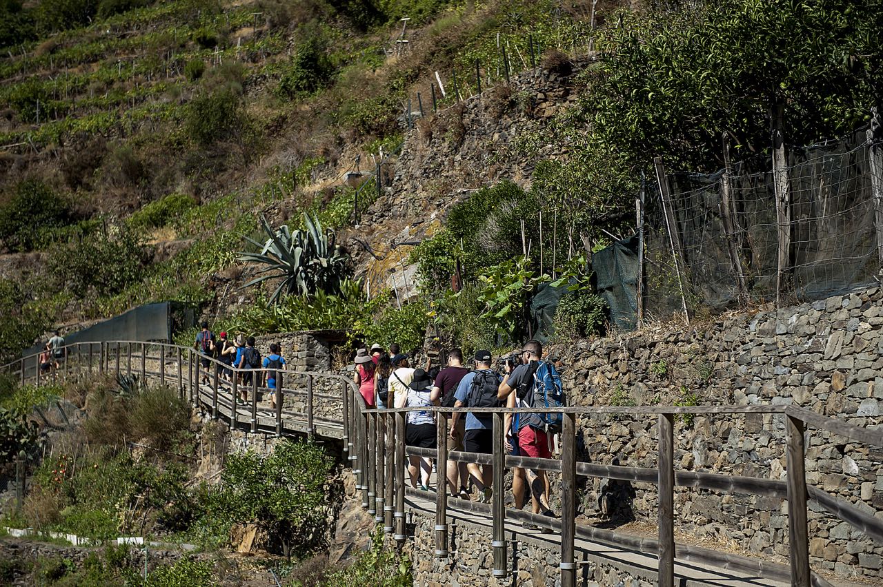 Cinque Terre Private Tour from Florence with Lunch and Optional Hike 2