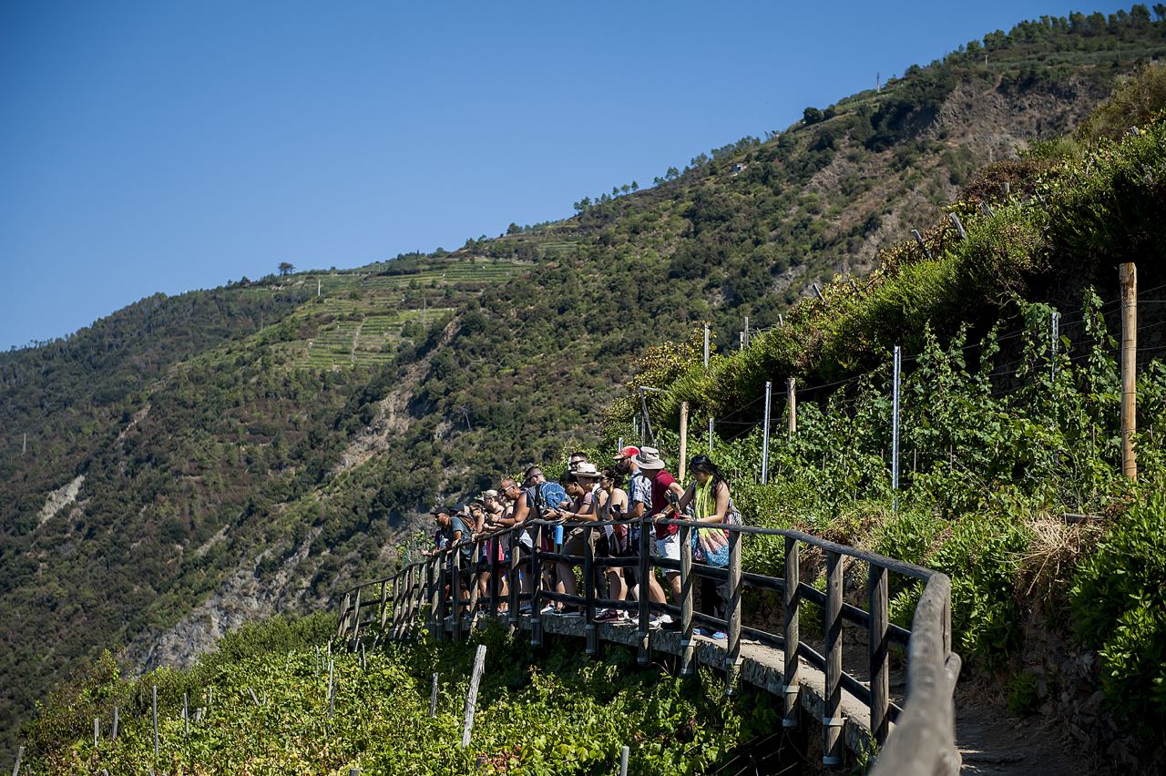 Cinque Terre Private Tour from Florence with Lunch and Optional Hike 4
