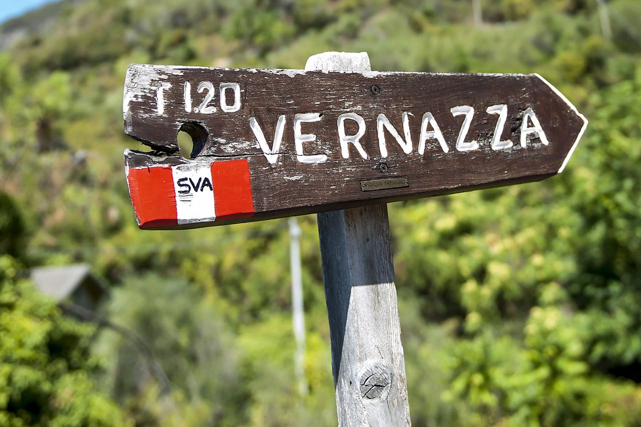 Cinque Terre Private Tour from Florence with Lunch and Optional Hike 7