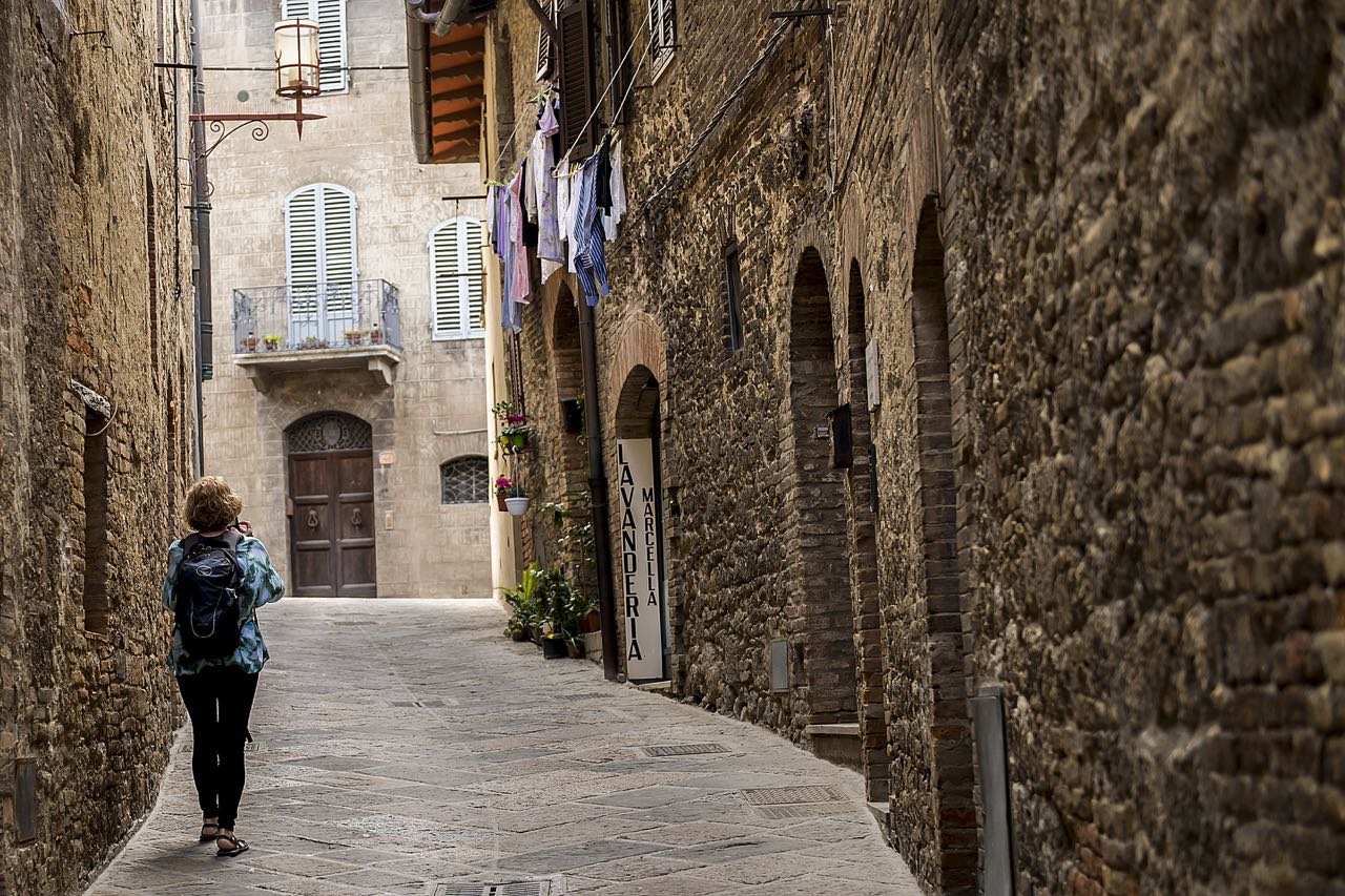 Private Tuscany Tour to Siena and San Gimignano with Winery Lunch from Florence 9