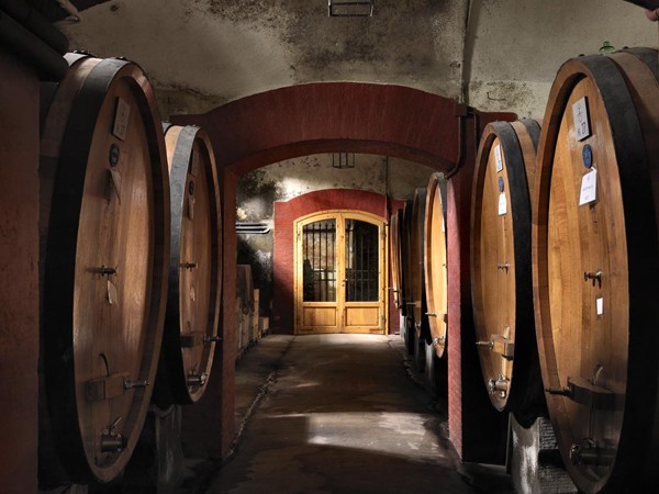Wine Safaris: Off Road Tuscany Wine Tours with Lunch from Florence 4