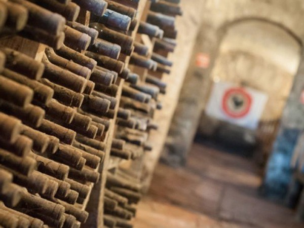 Wine Safaris: Off Road Tuscany Wine Tours with Lunch from Florence 5