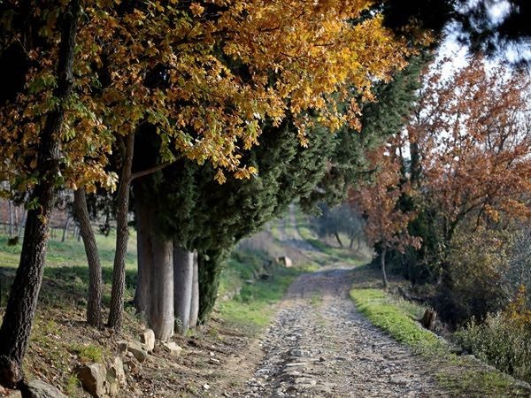 Wine Safaris: Off Road Tuscany Wine Tours with Lunch from Florence 7