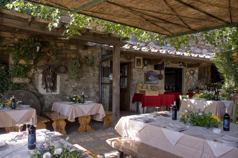 Wine Safaris: Off Road Tuscany Wine Tours with Lunch from Florence 12