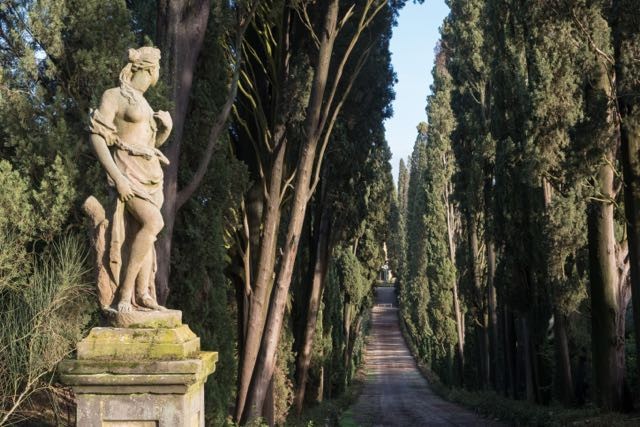 Wine Safaris: Off Road Tuscany Wine Tours with Lunch from Florence 16